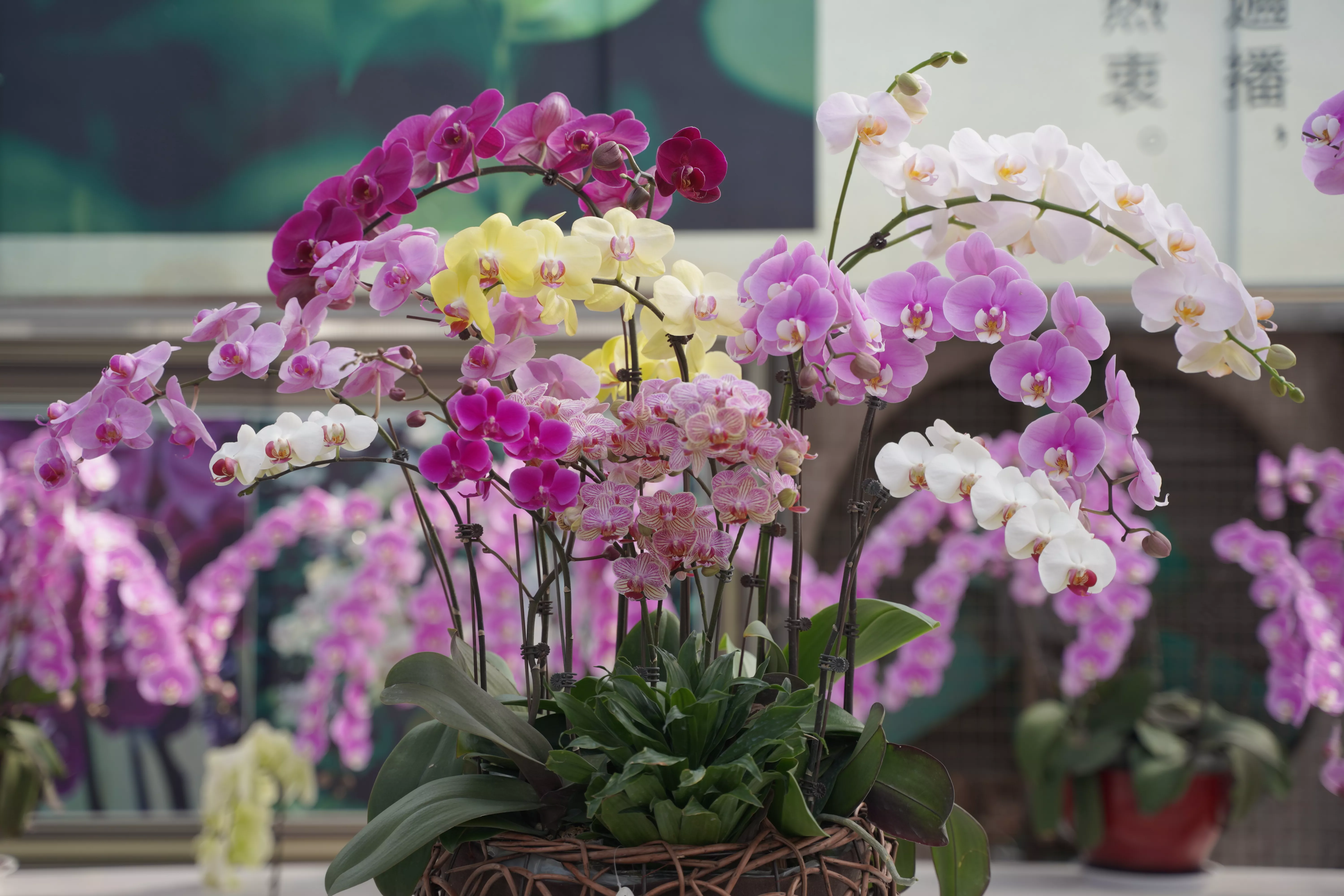 兰香东方展馆